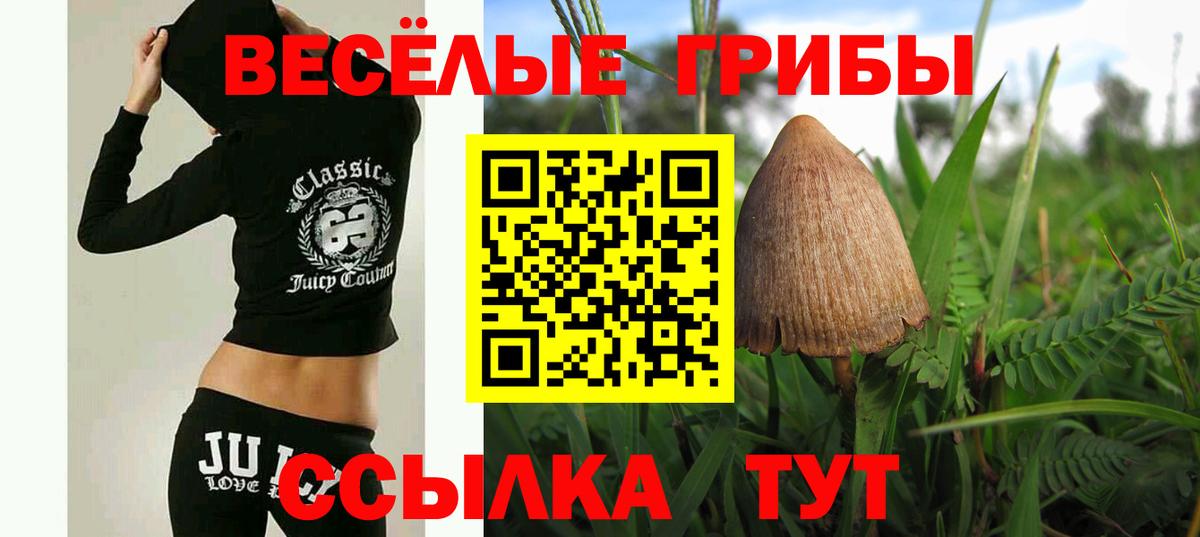 Галлюциногенные грибы Magic Shrooms Шатура